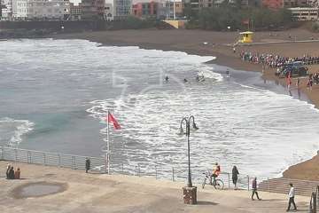 Cachalote muerto varado en la playa de Melenara (Foto TA y Naida Pérez González)